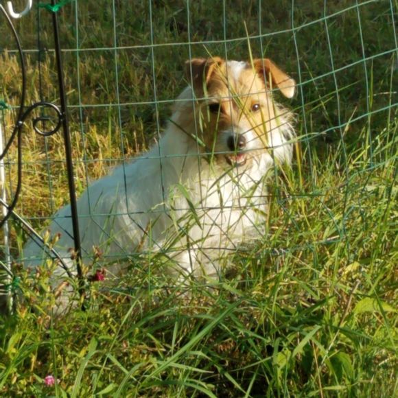 Meet your Posher, Tarnya - Picture 1 of 1